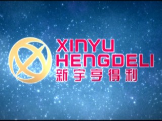 新宇亨得利控股有限公司 Xinyu Hengdeli Holdings Limited